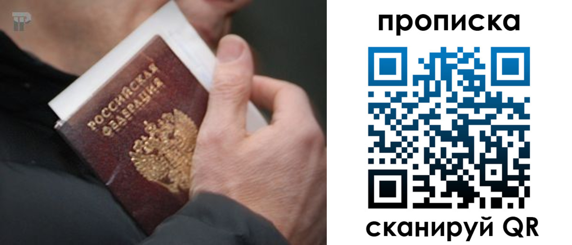 временная регистрация гарантия в Каменск-Шахтинском